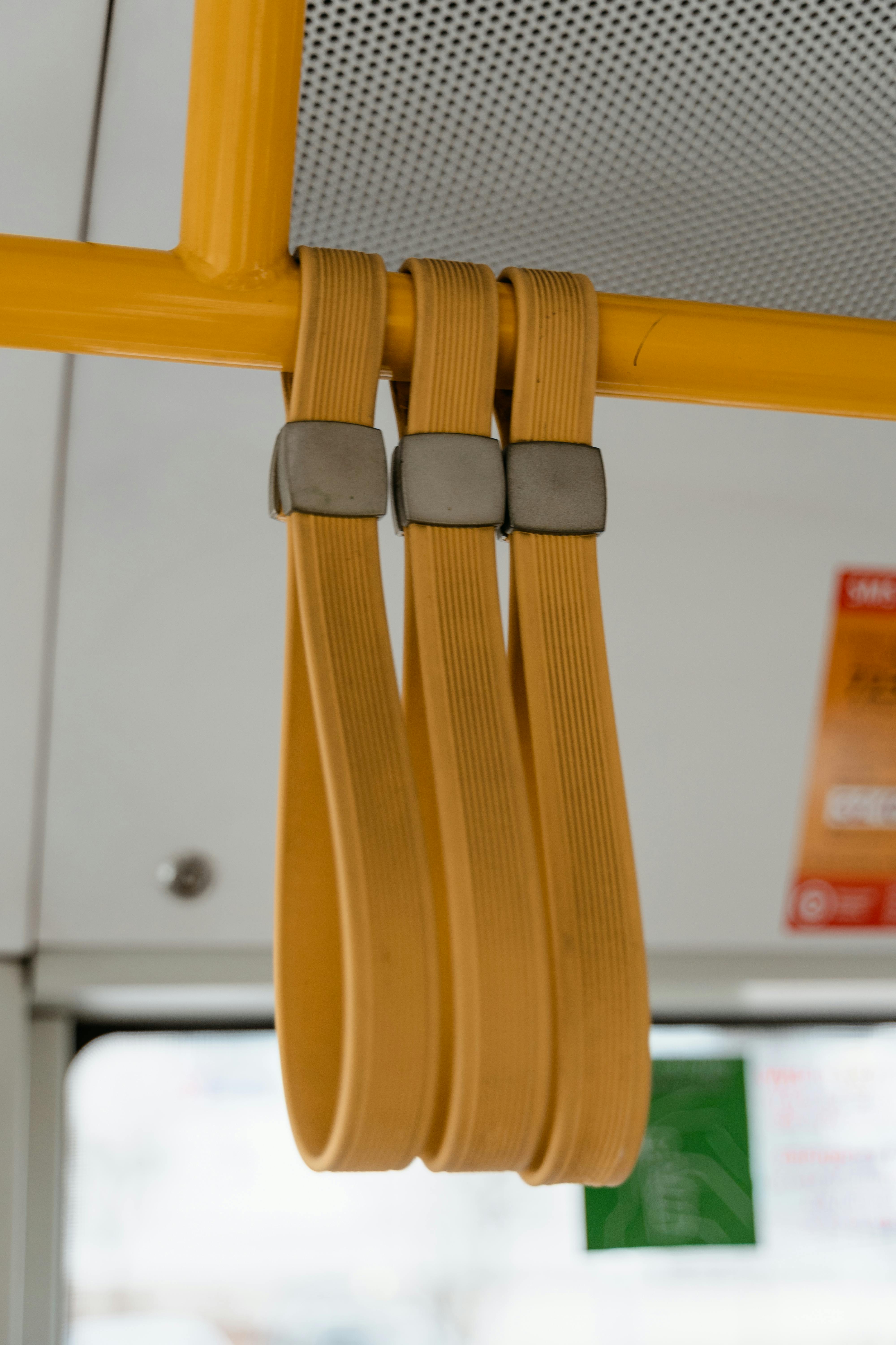 Buses that move the City